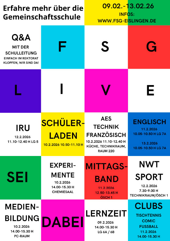 Friedrich Schiller Gemeinschaftsschule, Eislingen Infotage